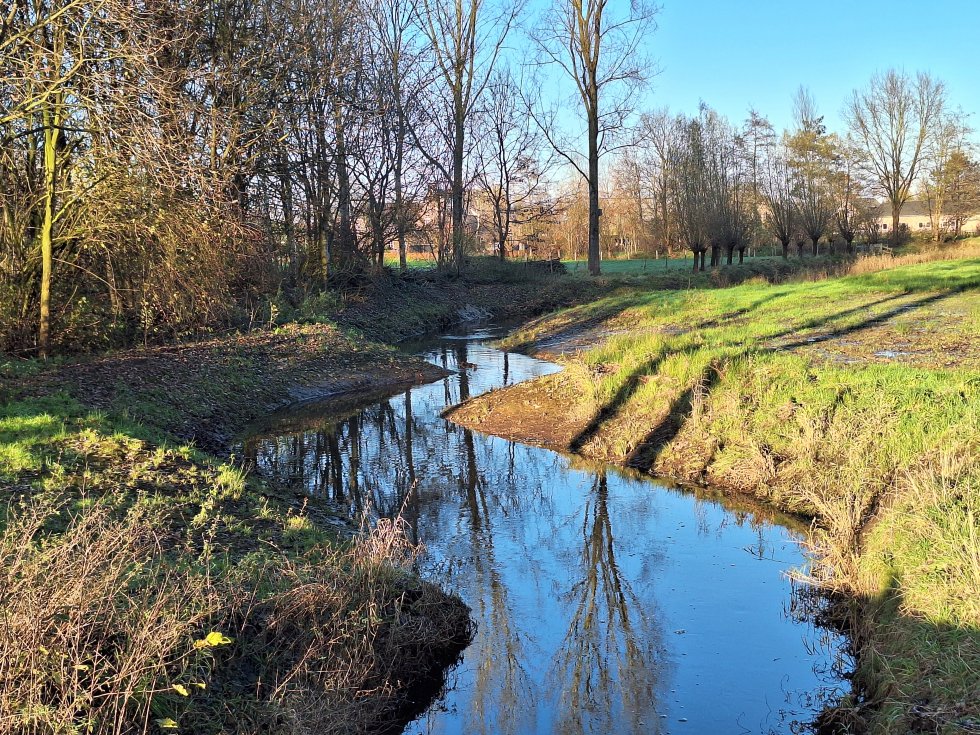 Nieuwjaarswandeling